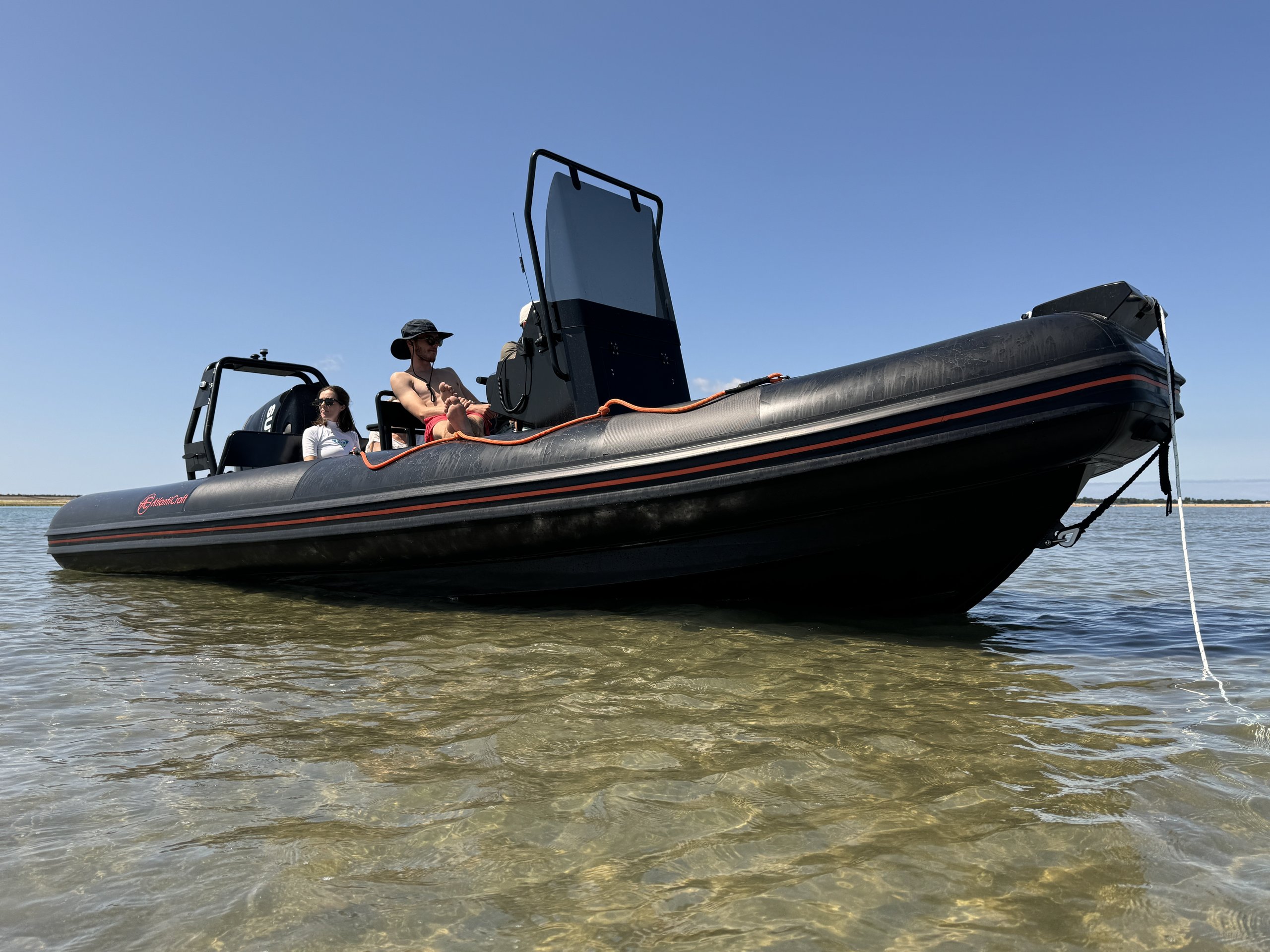 BLACKPEARL 6.00 – Image 2