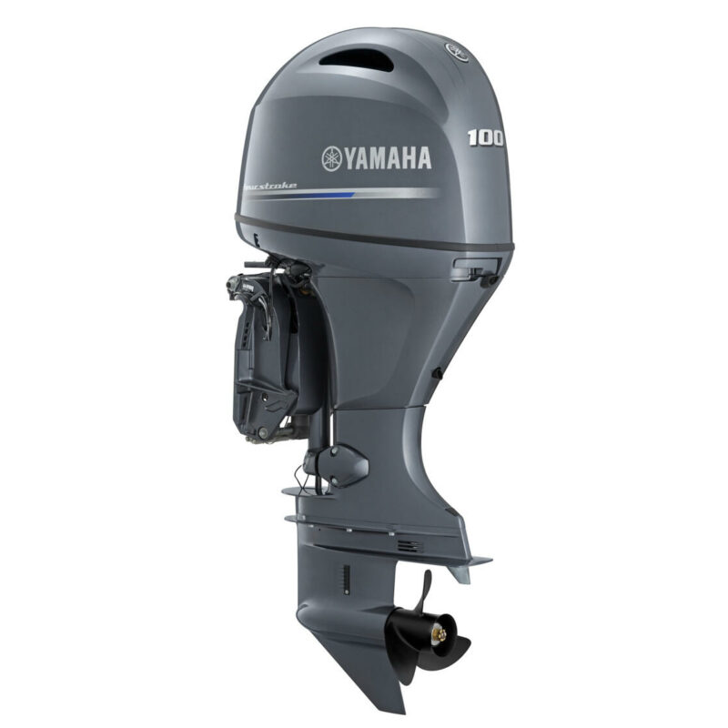 Yamaha F100