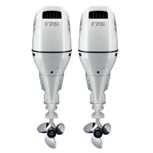 Suzuki 2*DF175AP Blanc