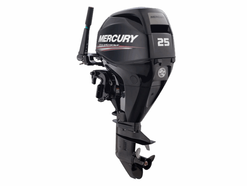 Mercury 25 HP FourStroke EFI
